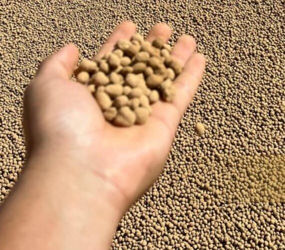 Grânulos de fertilizante fosfatado mineral misto na mão, com o produto ao fundo